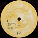 Mellon Collie And The Infinite Sadness - Imagen 13