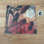 Watermark - Imagen 6