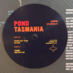 Pond - Tasmania