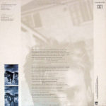 The Dream Of The Blue Turtles - Imagen 2